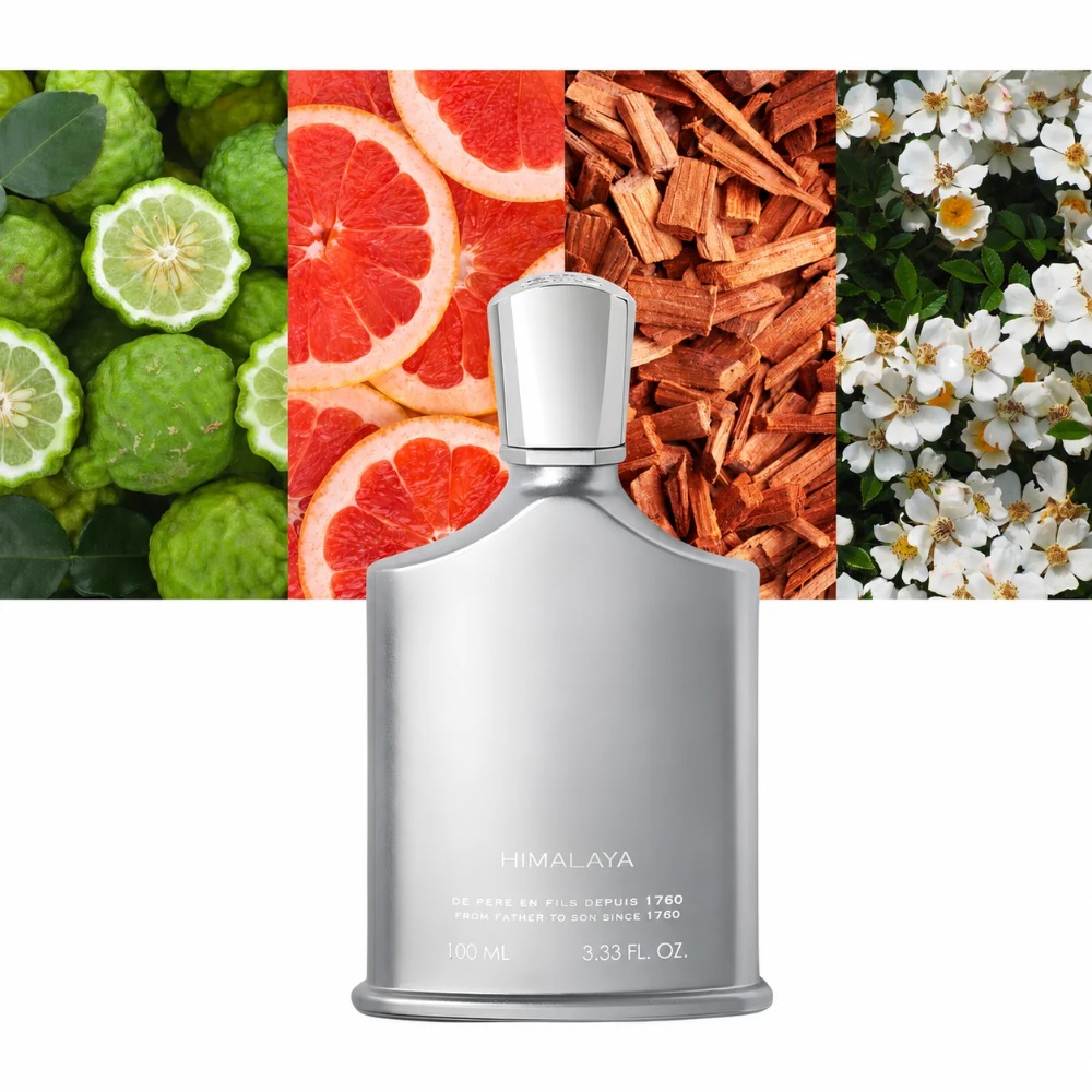 アベンタス フレグランス フォー メン 100ml EDP  - Perfume Fragrance Perfume のレビューと価格
